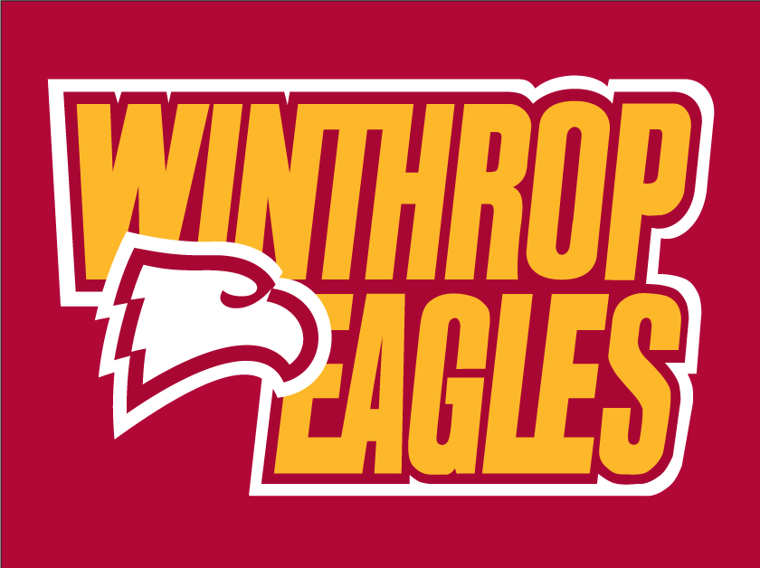 Winthrop Eagles 1995-Pres Wordmark Logo v3 diy fabric transfer